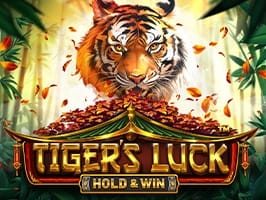 Tigers Luck Hold and Win screenshot
